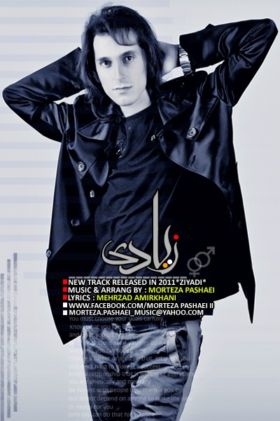 مرتضی پاشایی زیادی