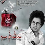 Mohammad Mahdi Hamian Dadashe Khoobam