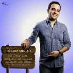 Mohamad Zare - Delam Mikhad