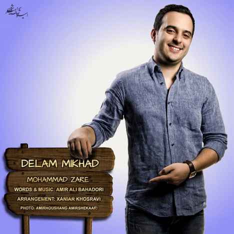 Mohamad Zare - Delam Mikhad