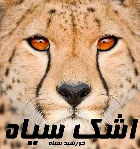 Khorshid Siah Ashk Siah