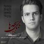 Ali Zibaei Amuye Bacheha
