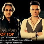 Black Cats - Top Top