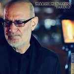 Siavash Ghomayshi - Tardid