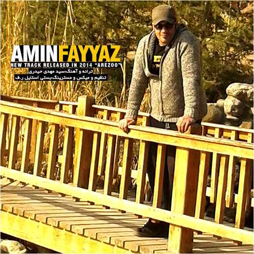 Amin Fayyaz - Arezoo