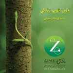 Salar Aghili - Hesse Khoobe Zendegi