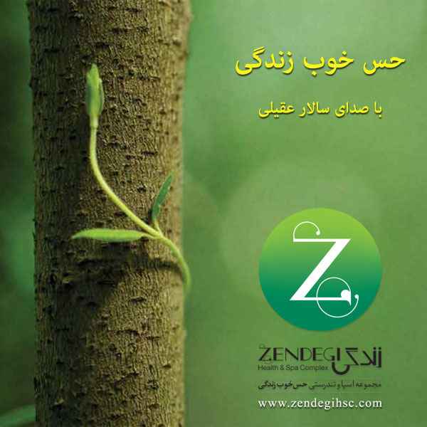 Salar Aghili - Hesse Khoobe Zendegi