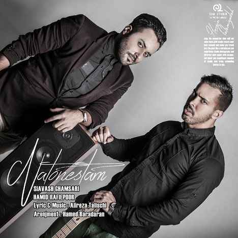 Siavash Ghamsari - Natoonestam