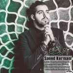 Saeed Kermani - Agha Joon